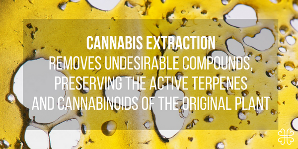 Cannabis Extracts: The Complete Guide