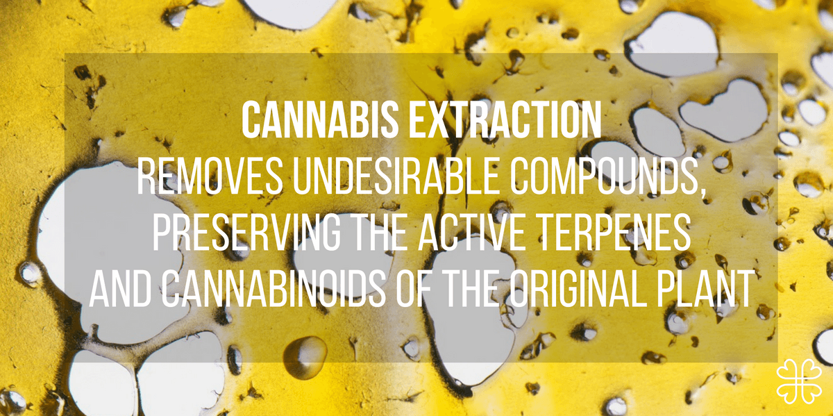 Cannabis Extracts: The Complete Guide