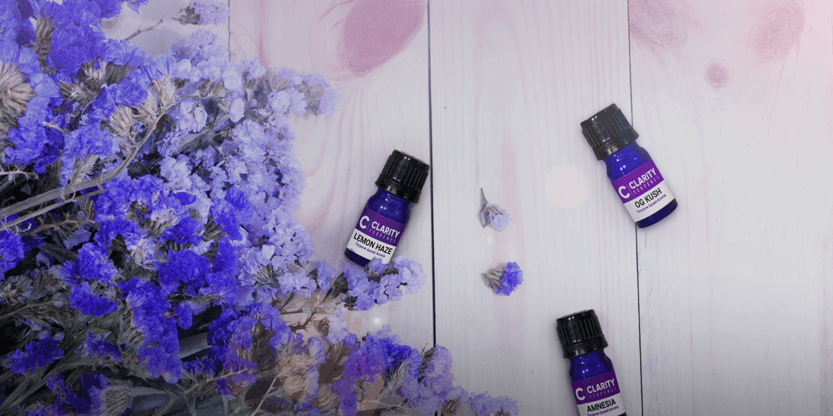 Getting Started with Terpenes