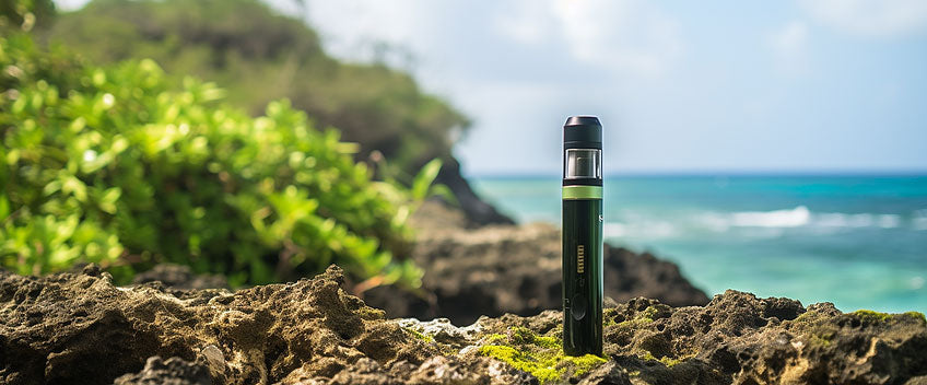 vape cbd devant l'océan