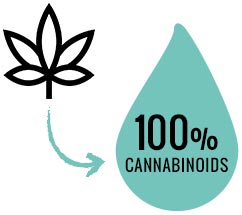 FULL SPECTRUM CBD Vape Pens