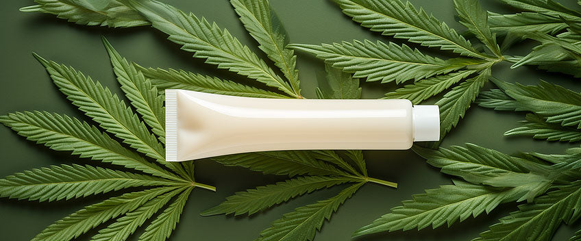 cbd cream in a tube