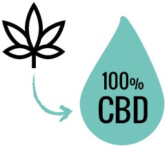 Isolate CBD Vape Kit