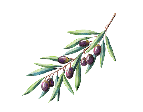 Olive oil