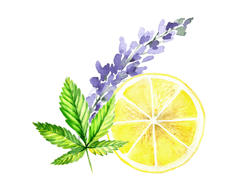 Terpenes