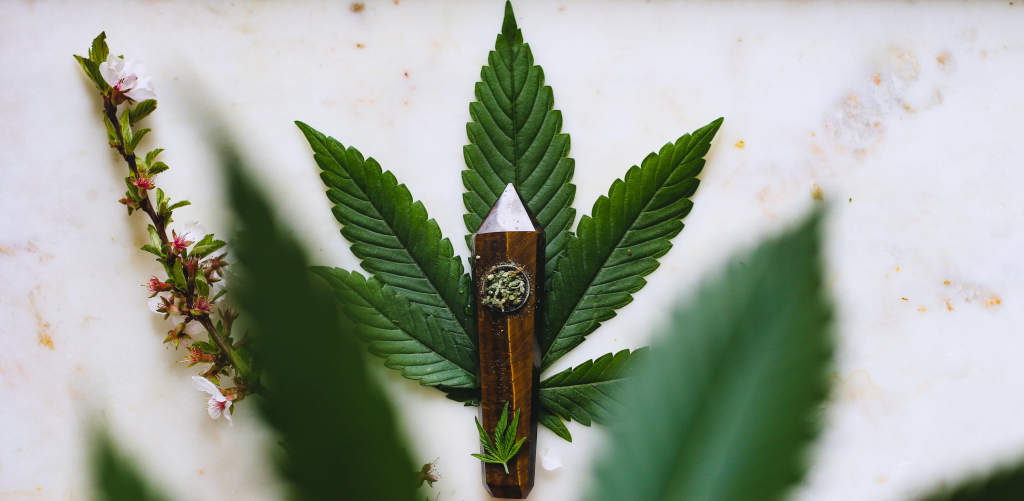 CBD vs THC: What’s the difference?