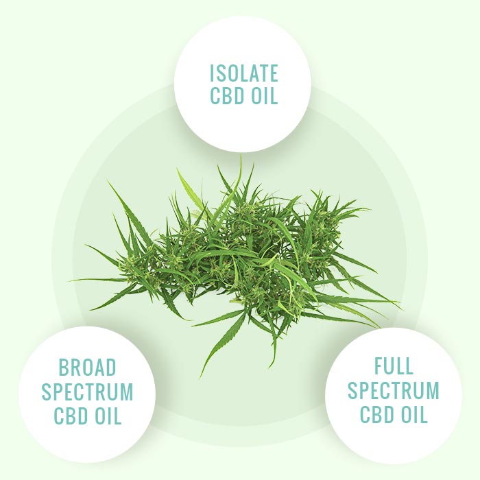 isolate vs broad spectrum vs full spectrum