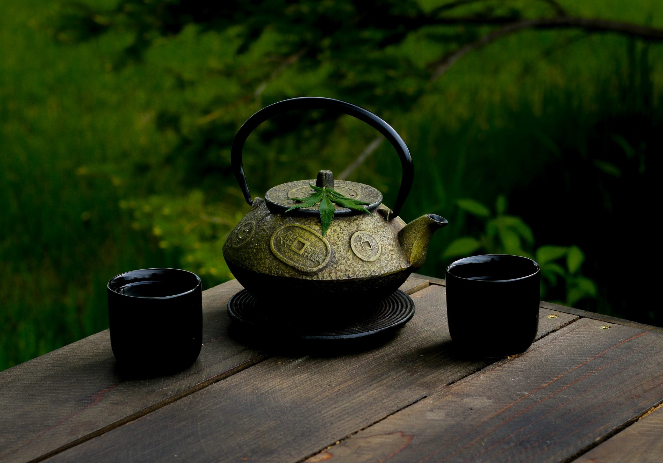 Hemp Tea & CBD: What You Need To Know