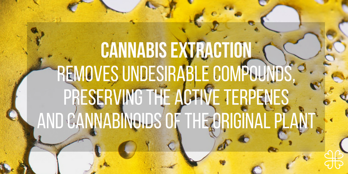 Cannabis Extracts: The Complete Guide | Meet Harmony CBD Products